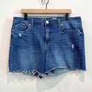 Distressed Cut Off Jean Shorts-1