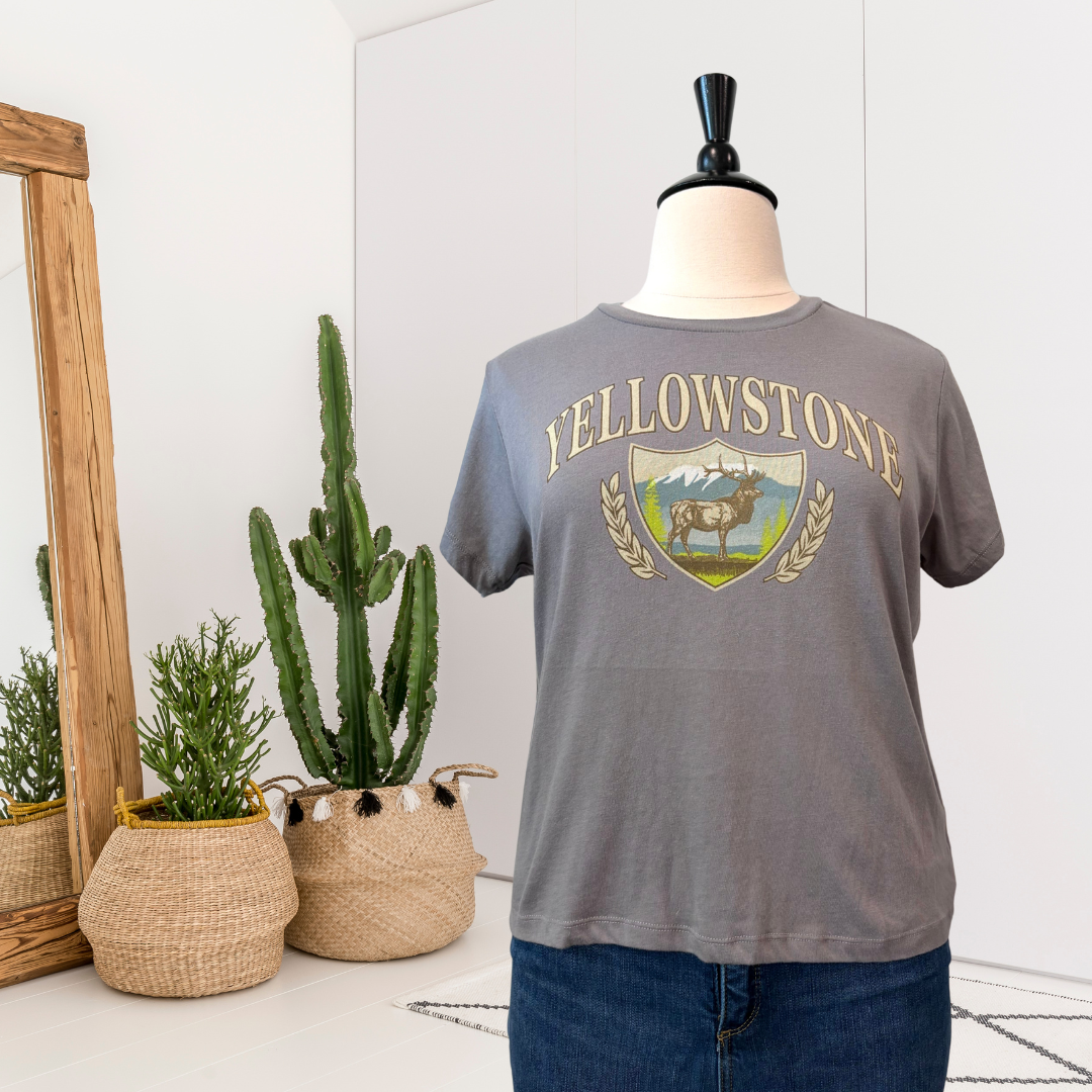 Short Sleeve Tops