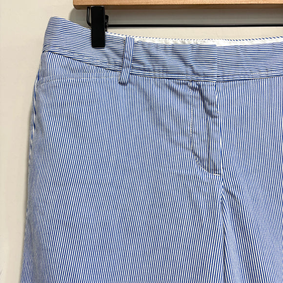 Pinstriped Shorts