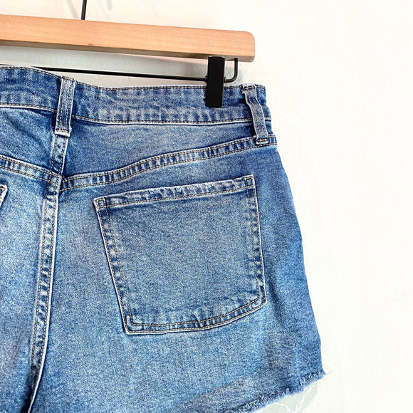Button Fly Distressed Jean Shorts