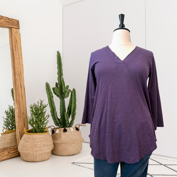 V-Neck Tunic Top