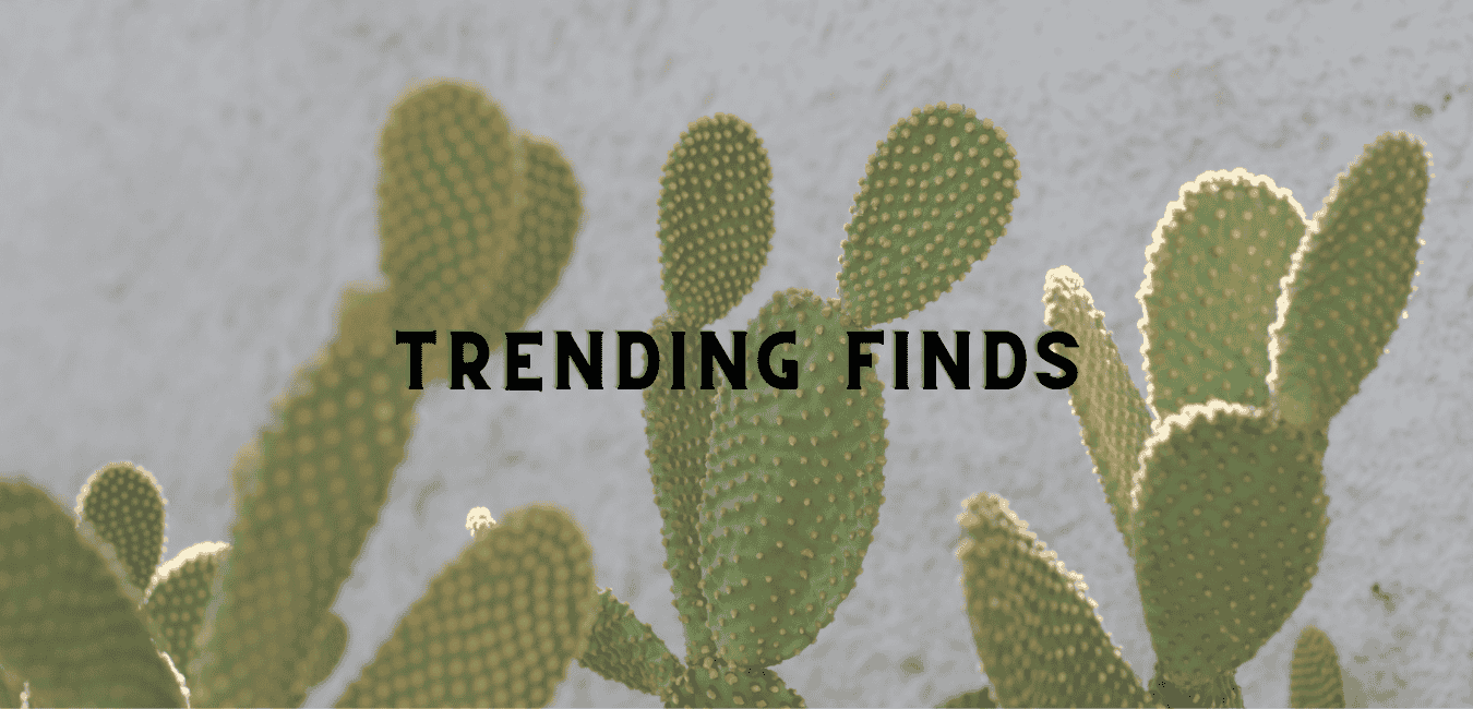 Header Trending secondhand boho clothing