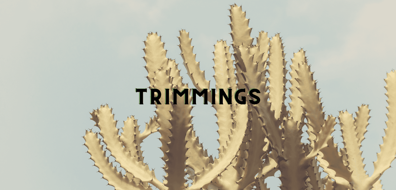 Header Trimmings Women's Accessories 