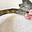 Leaf Metal Belt-9
