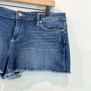 Cut Off Jean Shorts-3