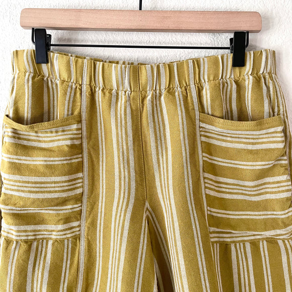 Striped Pull On Shorts