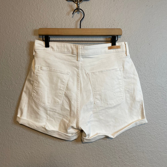 High Rise Shorts