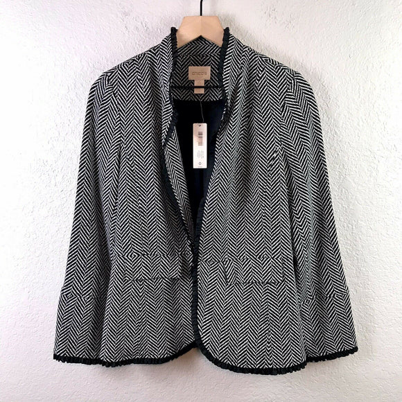 Ruffle Trim Ponte Blazer